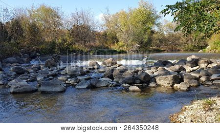 Salmon Fish Ladder/step In River In North America/canada