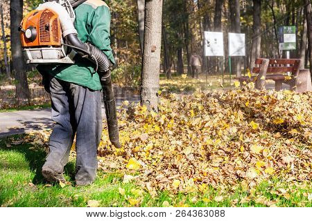 Worker Operating Heavy Duty Leaf Blower In City Park. Removing Fallen Leaves In Autumn. Leaves Swirl