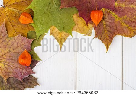Outumnal Background, Texture, Frame With Leaves On Wooden