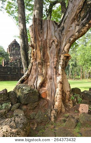 Tree Roots Grow Over Stone Castle In Meuang Sing Historical Park, Thailand.