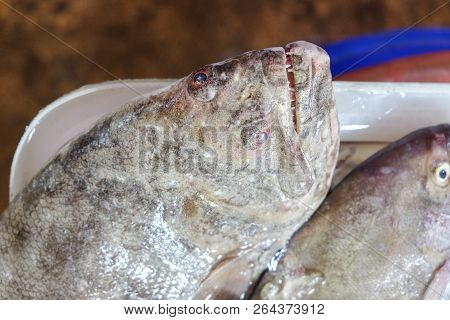 Sole Fish, Ingredient For Cooking, Fish  Meat