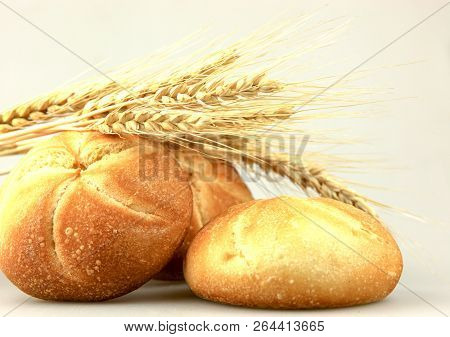 Homemade Whole Wheat Bread Color Image Stock Photos