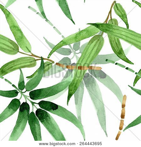 Bamboo Green Leaf. Leaf Plant Botanical Garden Floral Foliage. Seamless Background Pattern.