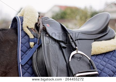 The Saddle On The Horse And The Stirrups In The Winter