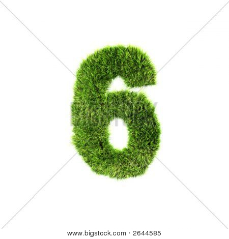 Grass Number