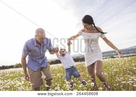 Parent Walking With Her Baby Son On Daisy Field At The Sunset Time