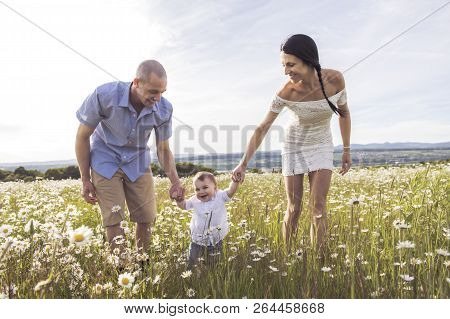 Parent Walking With Her Baby Son On Daisy Field At The Sunset Time