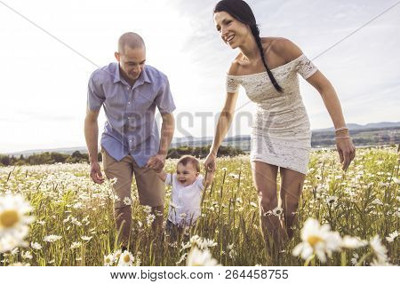Parent Walking With Her Baby Son On Daisy Field At The Sunset Time
