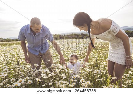 Parent Walking With Her Baby Son On Daisy Field At The Sunset Time