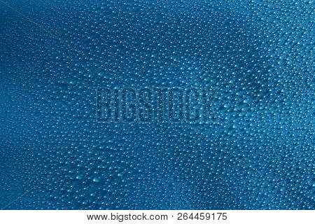 Water Drops Abstract Blue Background Close Up