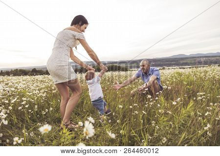 Parent Walking With Her Baby Son On Daisy Field At The Sunset Time