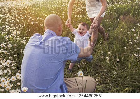 Parent Walking With Her Baby Son On Daisy Field At The Sunset Time