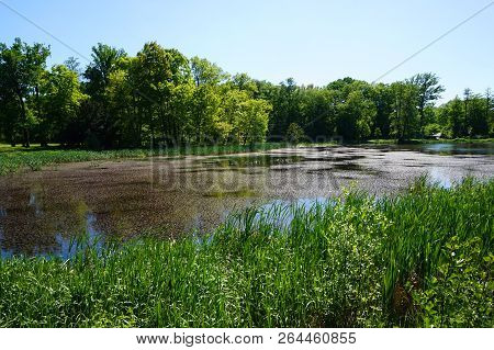 Small Lake Near Radun Castle As Nice  Moravia Landscape