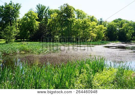 Small Lake Near Radun Castle As Nice  Moravia Landscape