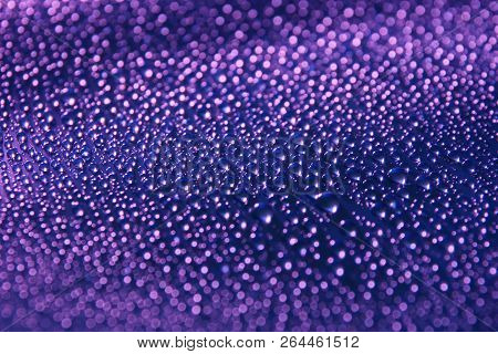 Water Drops Abstract Holiday Background Purple Close Up