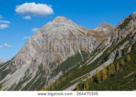Top Of Schiesshorn Mountain In Blue Sky With One White Cloud, Forest