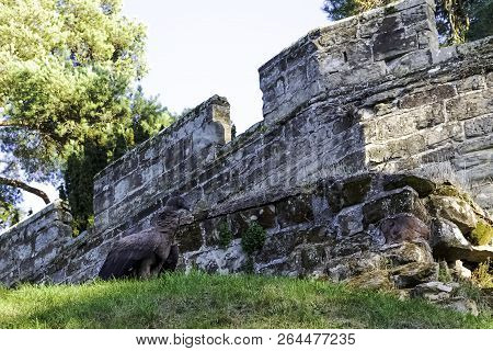 Young Andean Condor (vultur Gryphus) On The Grass Next To Castle Wall