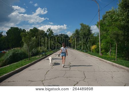 Young Woman Back View, Walking Her Dog In The Park, On The Pavement In Perspective, With Trees And S
