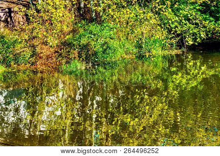 Green Yellow Reflection Water Abstract Issaquah Creek At Salmon Hatchery Issaquah Washington