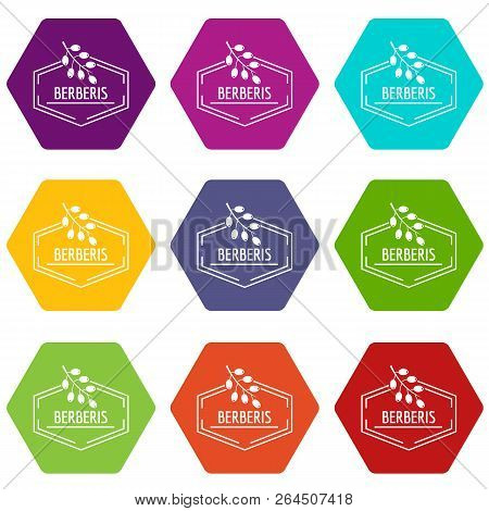 Berberis Icons 9 Set Coloful Isolated On White For Web