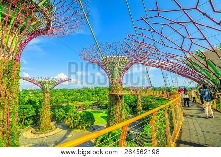 Singapore - April 29, 2018: People Walking On Skybridge Or Ocbc Skyway Of Supertree Grove In Gardens