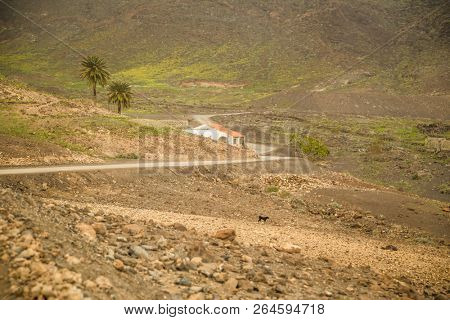 Small traditional house along side macadam road to Cofete beach, Fuerteventura.