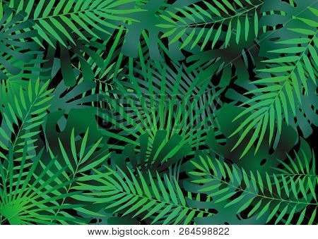 Tropical Leaves Elements Compilation As Green Background