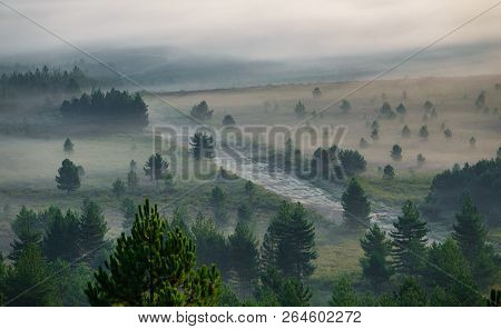 Misty Sunrise In The Country With Firebreak
