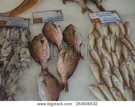 Traditional Fish Market At Corfu Town Kerkyra In Greece. Different Kind Of Mediterranean Fresh Fishe