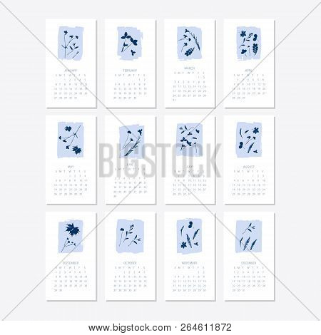 Vector Of 2019 New Year Calendar With Plants On Cyanotype Texture. Holiday Event Planner. Week Start