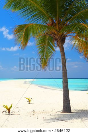 Infinity tropischen Strand
