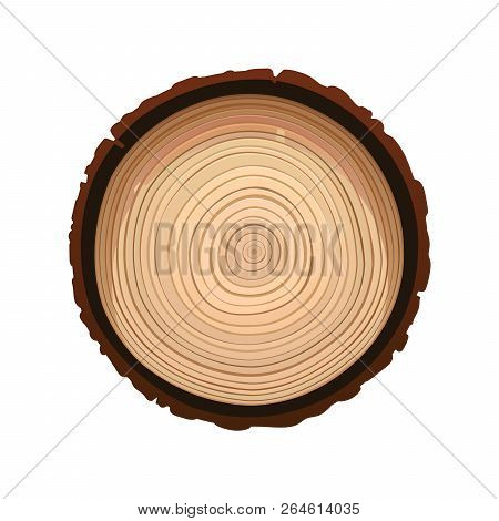 Texture Of Sawn Wood Brown Object Vector Isolated