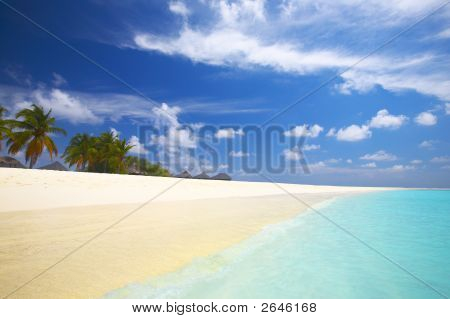 Tropical Beach im indischen Ozean