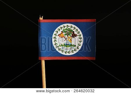 A Official Flag Of Belize On Wooden Stick On Black Background. The State Located In North America An