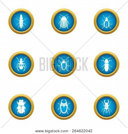 Shell Beetle Icons Set. Flat Set Of 9 Shell Beetle Vector Icons For Web Isolated On White Background