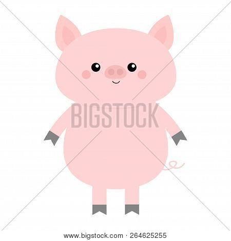Pig. Cute Cartoon Funny Baby Character. Hog Swine Sow Animal. Chinise Symbol Of 2019 New Year. Zodia