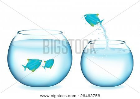 블루 피쉬 흰색 절연 두 물고기와 다른 수족관에 점프