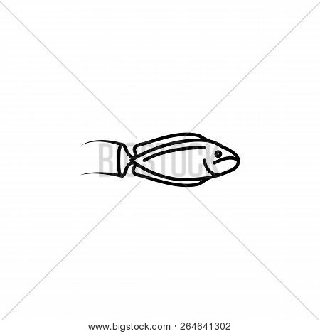 Seafood, Bignose Unicornfish Icon. Detailed Set Of Sea Foods Illustrations. Element Of Asian Cuisine