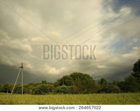 Storm In The Park With Strong Light