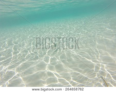 Unnderwater Fisch With Blue Water Colorfull Reef