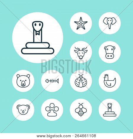 Nature Icons Set With Chicken, Fish Bone, Paw And Other Kine Elements. Isolated Vector Illustration 