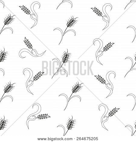 Wheat, Rye Seamless Pattern, Dark Green Thin Line On White Stock Vector Illustration Design Element 