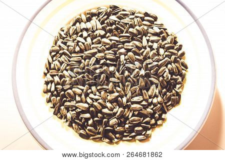 Black Sunflower Seeds On A Plate Without Additional Food