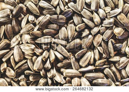 Black Sunflower Seeds Closeup Without Additional Food