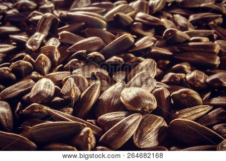 Black Sunflower Seeds Closeup Without Additional Food