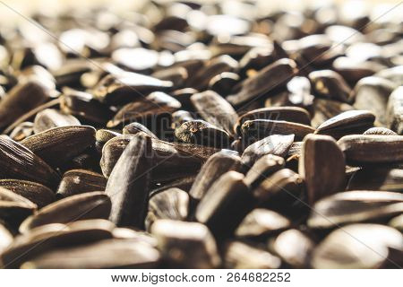 Black Sunflower Seeds Closeup Without Additional Food