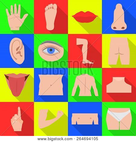 Vector Design Of Human And Part Icon. Set Of Human And Woman Vector Icon For Stock.