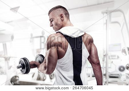 Strong Athletic Man Fitness Model Workout With Dumbbel, Rear View, Triceps, Latissimus