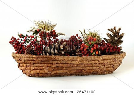 Secas plantas em vaso