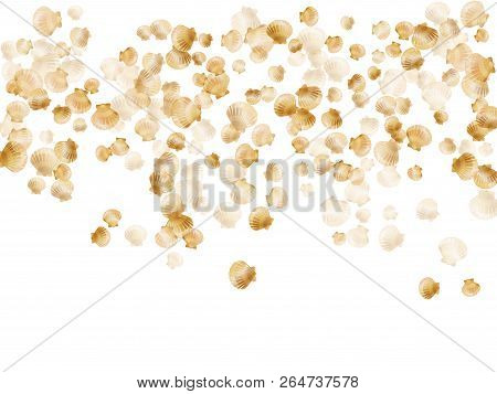 Gold Seashells Vector, Golden Pearl Bivalved Mollusks. Cute Scallop, Bivalve Pearl Shell, Marine Mol